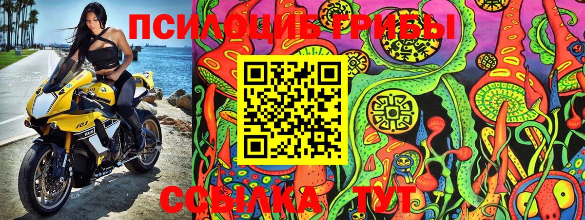 Галлюциногенные грибы Psilocybe Мурино